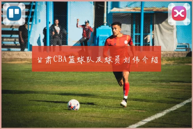 甘肃CBA篮球队及球员刘伟介绍