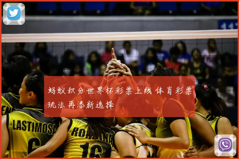 蚂蚁积分世界杯彩票上线 体育彩票玩法再添新选择
