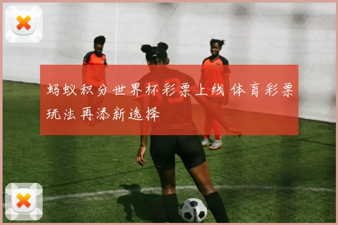 蚂蚁积分世界杯彩票上线 体育彩票玩法再添新选择