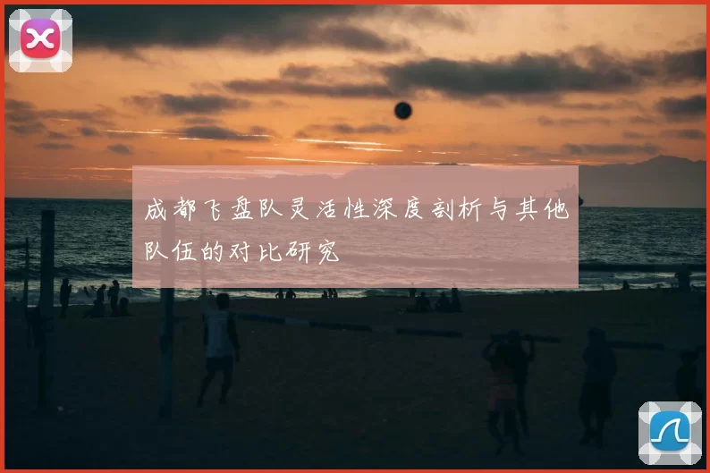 成都飞盘队灵活性深度剖析与其他队伍的对比研究