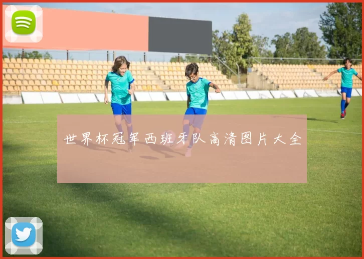 世界杯冠军西班牙队高清图片大全