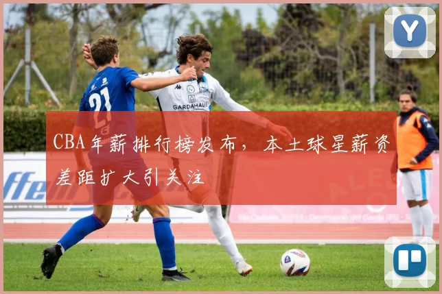 CBA年薪排行榜发布,本土球星薪资差距扩大引关注
