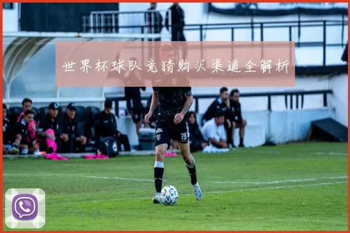 世界杯球队竞猜购买渠道全解析