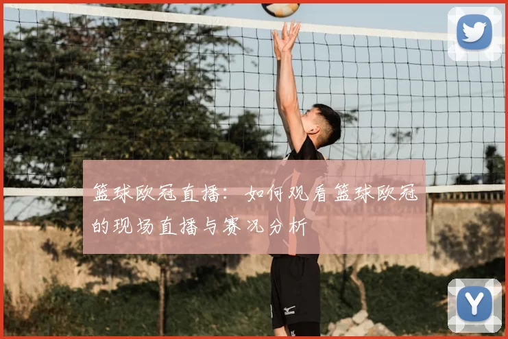 篮球欧冠直播:如何观看篮球欧冠的现场直播与赛况分析