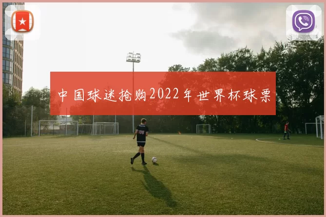 中国球迷抢购2022年世界杯球票