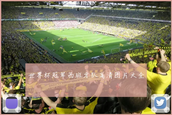 世界杯冠军西班牙队高清图片大全