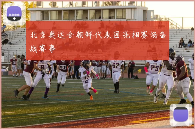 北京奥运会朝鲜代表团亮相赛场备战赛事