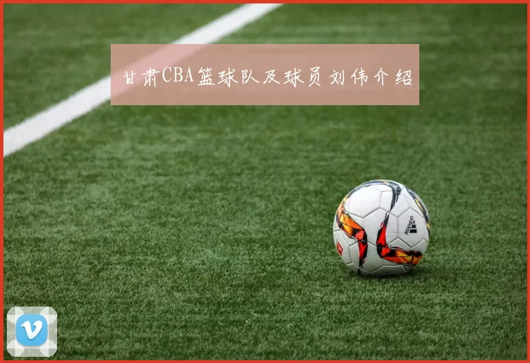 甘肃CBA篮球队及球员刘伟介绍