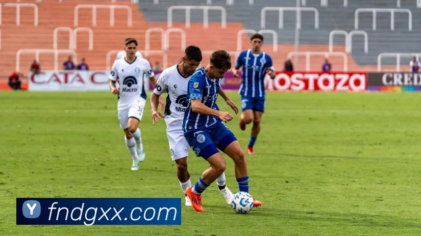 爱游戏体育平台生态图