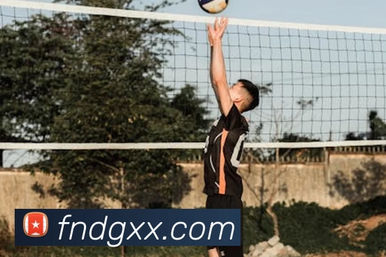 爱游戏体育APP 封面图