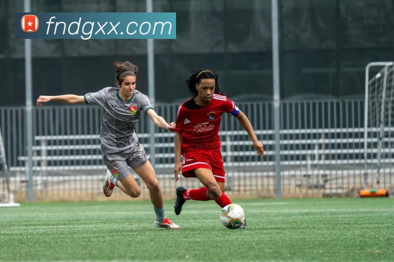 数据防护可视化